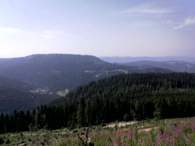 Schwarzwald......